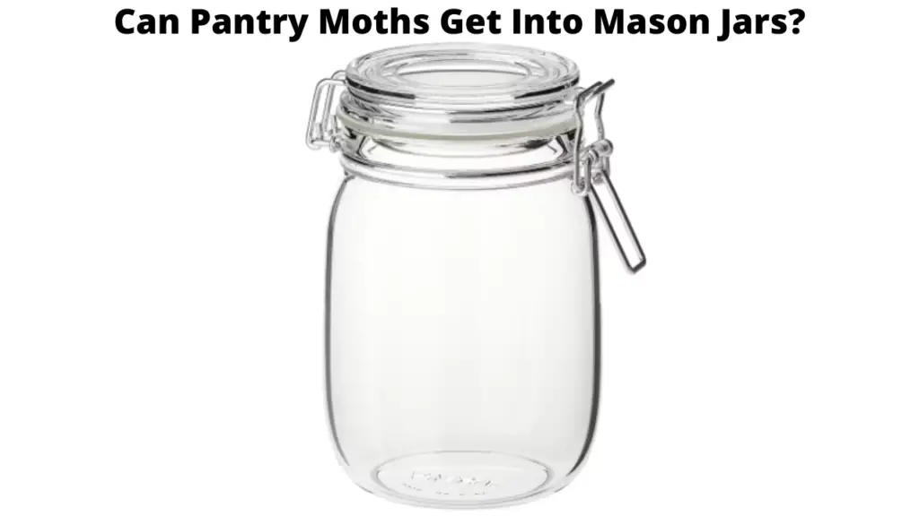 Can Pantry Moths Get Into Mason Jars