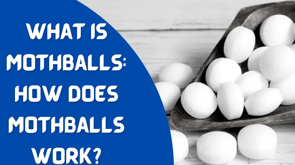 How Does Mothballs Work