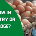 Eggs In Pantry Or Fridge