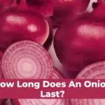 How Long Does An Onion Last