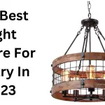 Best Light Fixture For Pantry