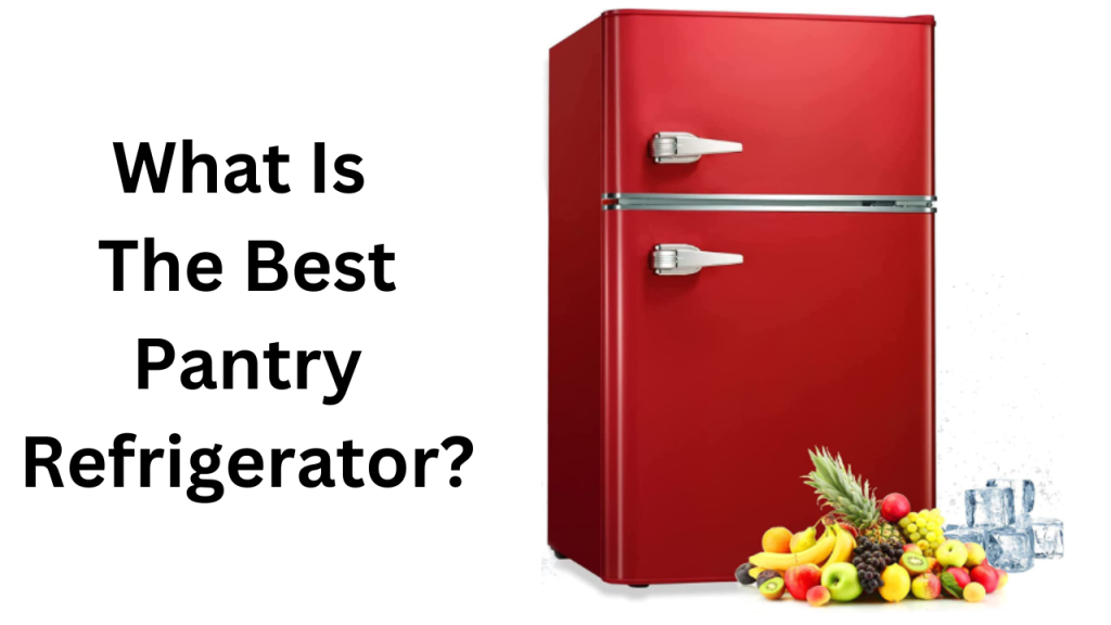 Best Pantry Refrigerator