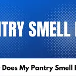 Why Does My Pantry Smell Bad