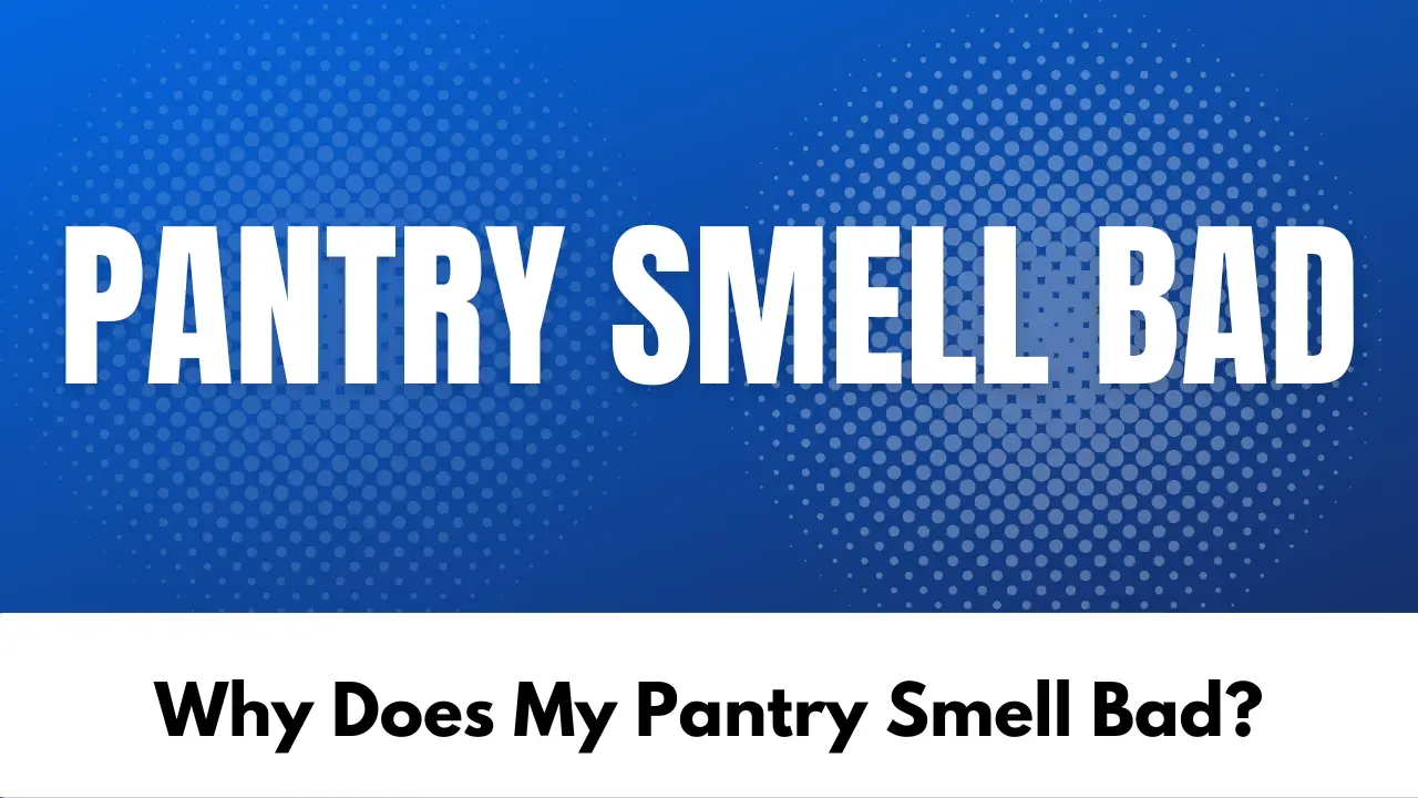 Why Does My Pantry Smell Bad