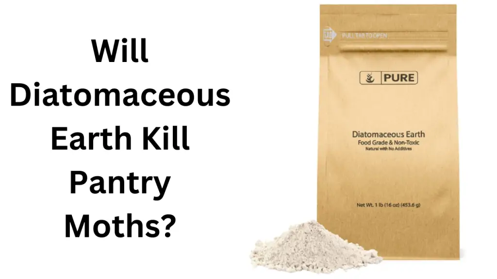 Will Diatomaceous Earth Kill Pantry Moths