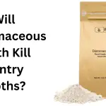 Will Diatomaceous Earth Kill Pantry Moths