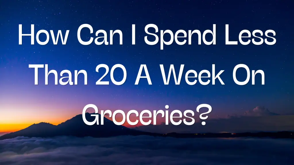How Can I Spend Less Than 20 A Week On Groceries