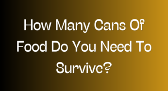 How Many Cans Of Food Do You Need To Survive?