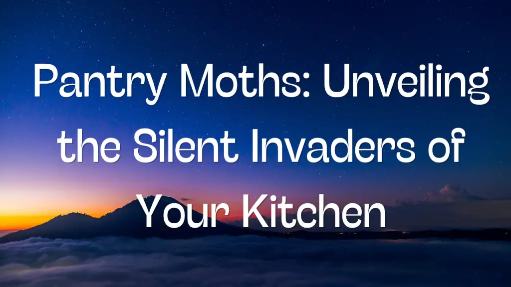 Pantry Moths Unveiling the Silent Invaders of Your Kitchen